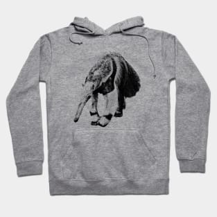 Giant anteater Hoodie